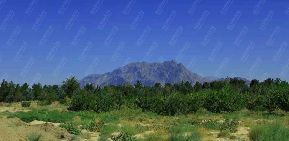 بلیط قطار تربت حیدریه  شاهرود - رسپینا 24